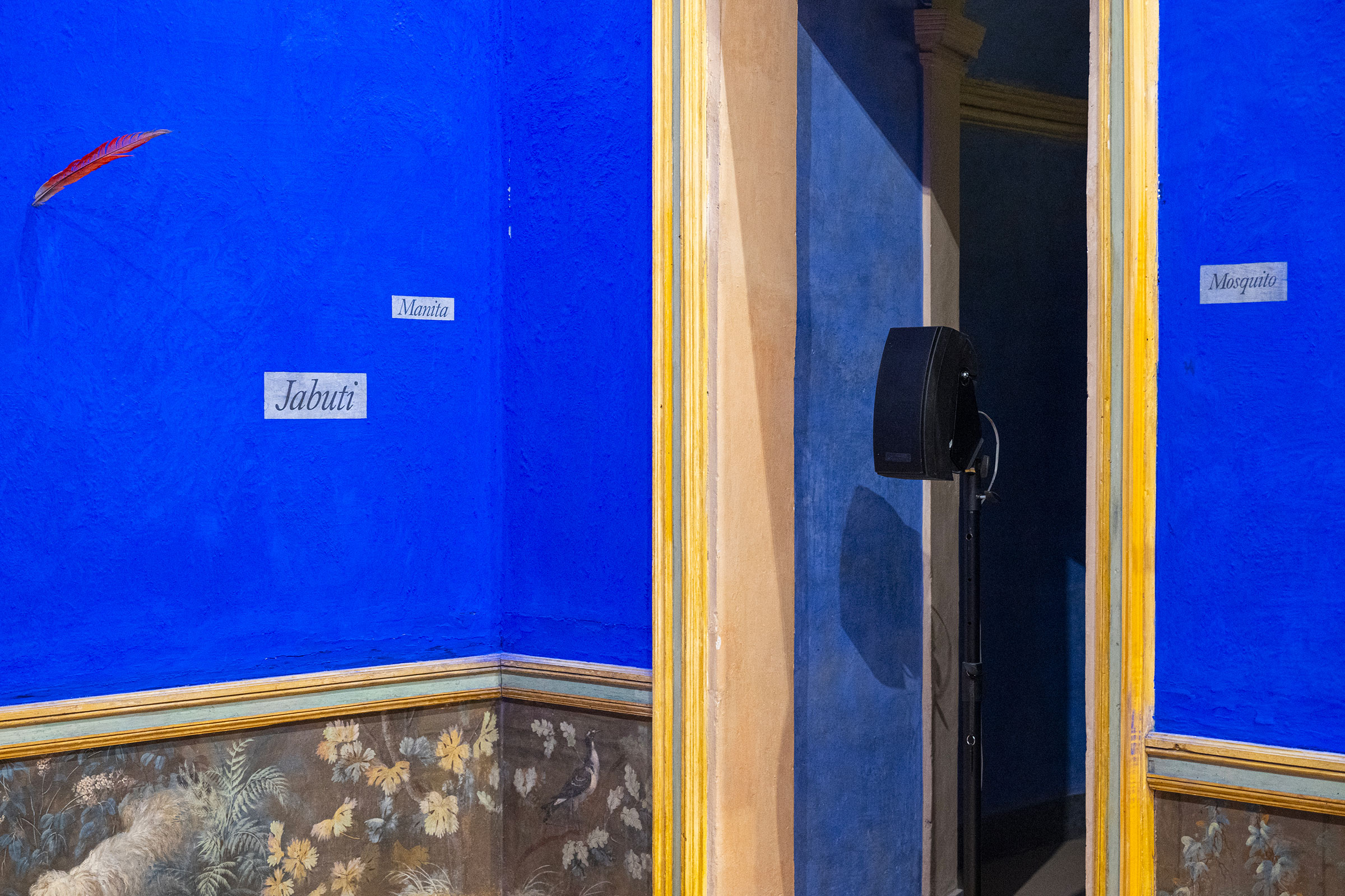 u0022I suoni del mondo / Sounds of the worldu0022, veduta espositiva